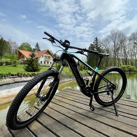 호텔 Aliret Vadaszhaz *