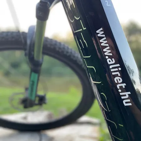 Aliret Vadaszhaz 호텔