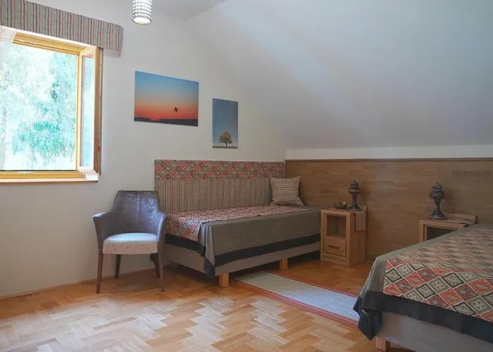 Aliret Vadaszhaz Hotel Ságvár