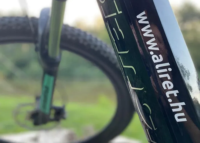 Aliret Vadaszhaz מלון